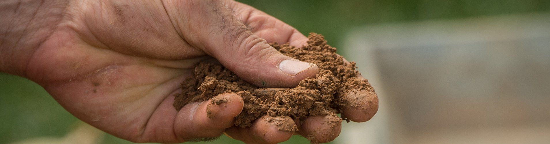 Soil Testing & Plant Analysis Lab